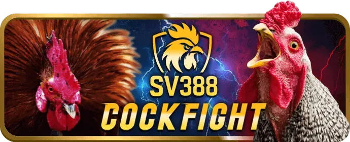 Các giá trị cốt lõi của hi88bet: uy tín, minh bạch, đổi mới và trách nhiệm xã hội